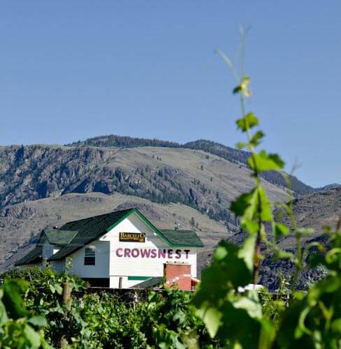 View of Crowsnest Vineyard Restuarant and Winery from across the Vineyard